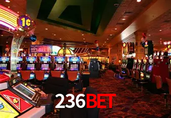 Apostas Esportivas na 236bet: Um Guia Completo